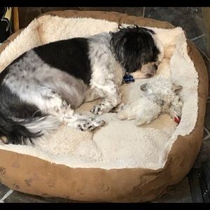 Meet your Posher, Denise